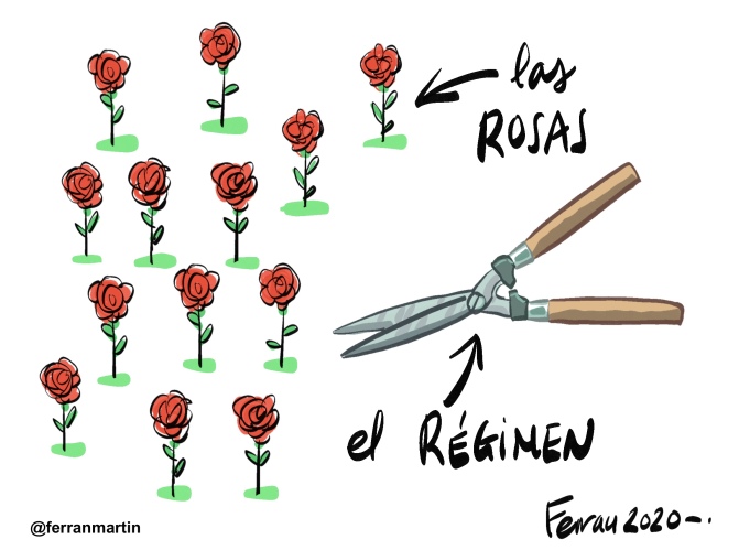 13 Rosas
